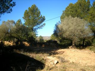 2b  , 1ba   in Atzeneta Del Maestrat,  Catalonia   - 90000  EUR