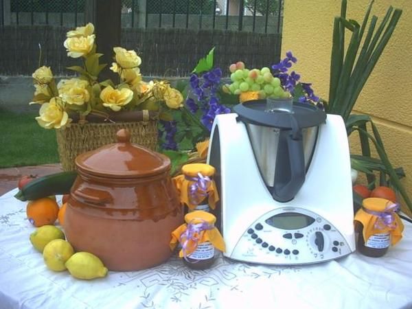 Thermomix tm-31