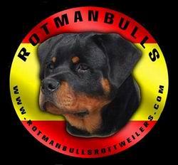 Rotmanbull's Rottweilers