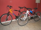 Vendo bicis de montaña,con 3 meses.Las dos 150 euros,por separado 90y70. - mejor precio | unprecio.es