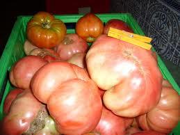 Tomates rosados de la sierra de aracena