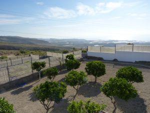 5b  , 4ba   in Arico,  Canary Islands   - 295000  EUR