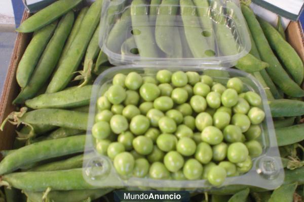 Venta directa y a domicilio de Frutas y Hortalizas Ecológicas