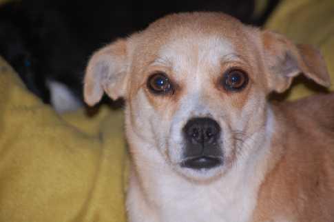 Adopta a Lupita Mama