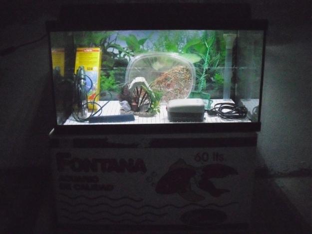 Vendo acuario de 60l