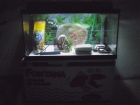 Vendo acuario de 60l - mejor precio | unprecio.es