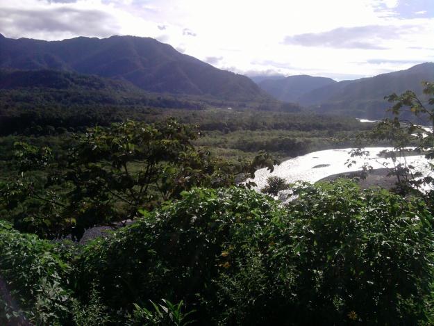 OPORTUNIDAD VENDO EN EL ORIENTE ECUADOR 32.000 UDS LAS 15HECTARIAS