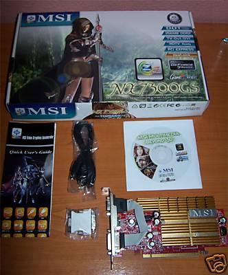 TARJETA GRAFICA MSI NX7300GS-TD256EH PCI