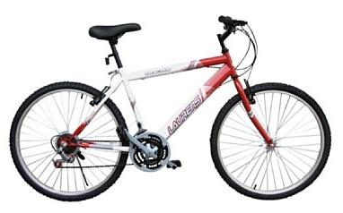 Bicicleta mountainbike