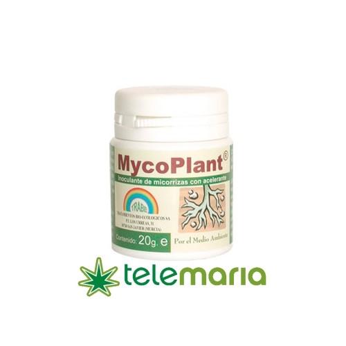 MycoPlant