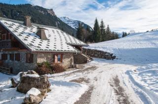 Chalet : 12/12 personas - a pie de pistas - morzine  alta saboya  rodano alpes  francia