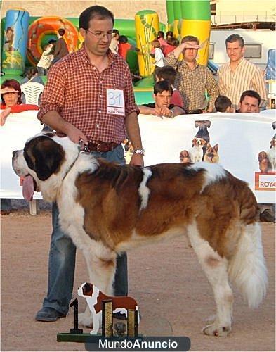 NIETOS DE FAUSTINO V 88CM A LA CRUZ