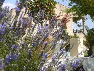 Casa rural : 6/7 personas - piscina - ales  gard  languedoc-rosellon  francia