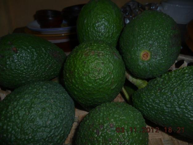 Venta de Aguacates Tacoronte