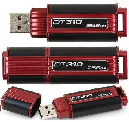 Pen Drive KINGSTON DT 310   256Gb