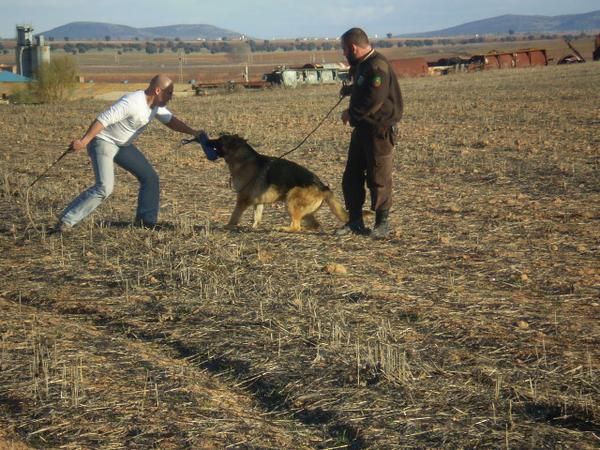 Curso de formación de guías caninos