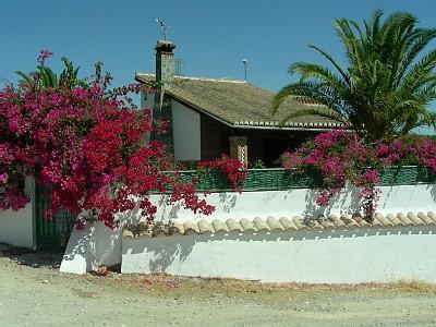 Lemon Grove Apartment,Alhaurin el Grande