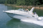 Crownline 290 - mejor precio | unprecio.es