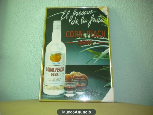 Cuadro CORAL PEACH - DEVA licor de frutas