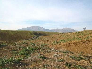 Terreno se vende en Alora