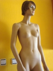 Maniquis chica - mejor precio | unprecio.es