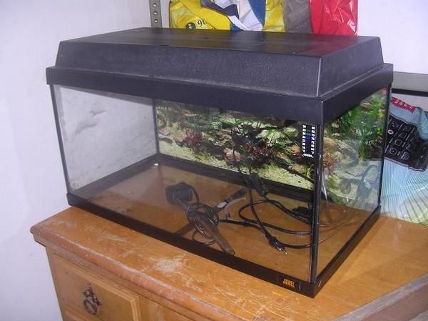 Vendo acuario nuevo