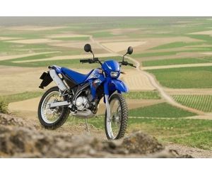 YAMAHA XT 125R / XT125R