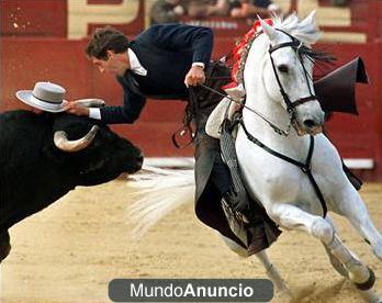 2 ENTRADAS TOROS SAN FERMIN REJONEO GRADA SOMBRA