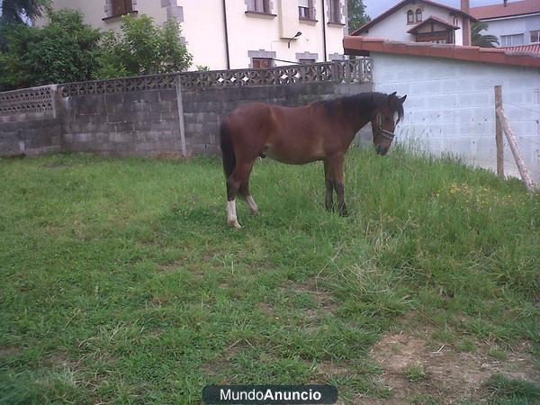 se vende o se canbia