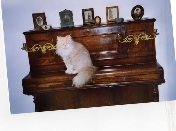 vendo piano horizontal ROHDEN medalla de oro en la expo París 1844