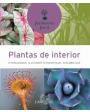 Plantas de interior