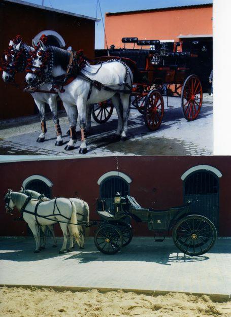 ALQUILER COCHES DE CABALLOS PARA FERIAS, BODAS Y DEMAS