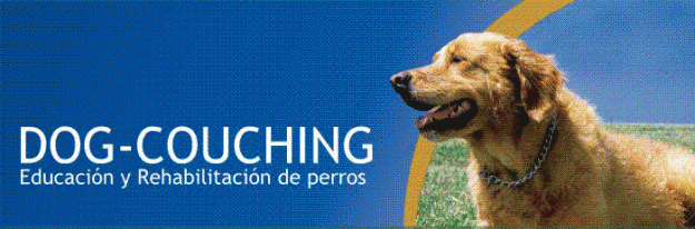 EDUCACIÓN DE CACHORROS Y REHABILITACIÓN DE CONDUCTA EN ADULTOS