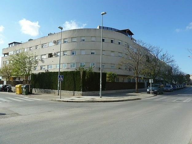 ático en Jerez de la Frontera