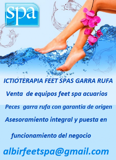 ICTIOTERAPIA FEET SPAS GARRA RUFA