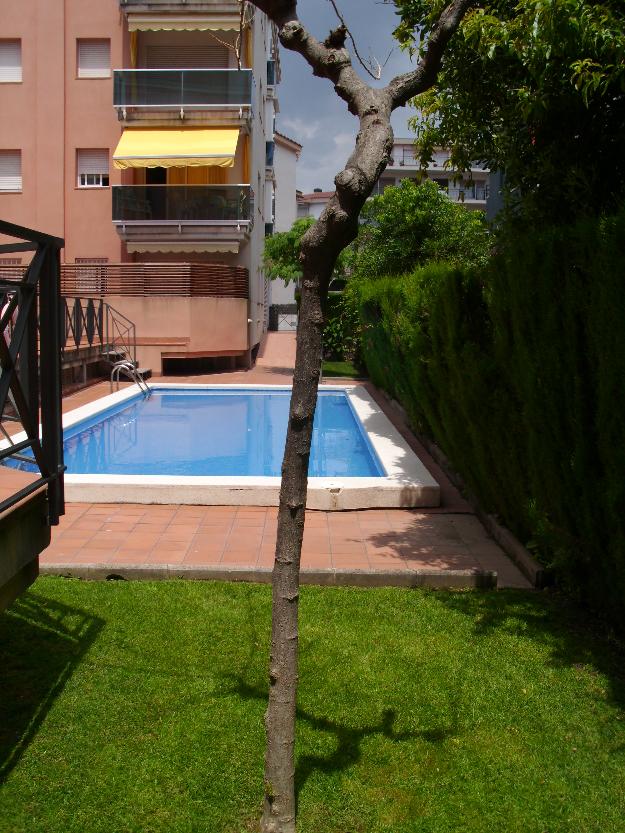 Apartamento en la playa con piscina