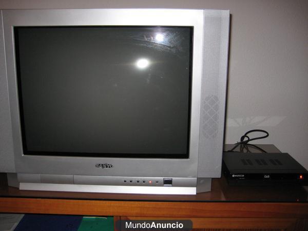 Vendo televisor SANYO (22 pulgadas) junto con TDT por  45 €