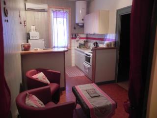 Apartamento en villa : 2/3 personas - le mont dore  puy-de-dome  auvernia  francia