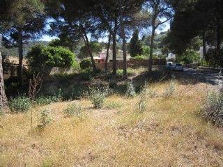 Solar/Parcela en venta en Canyamel, Mallorca (Balearic Islands)