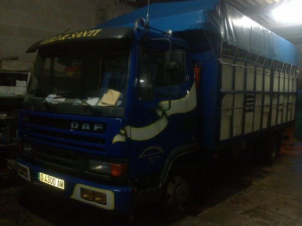 DAF 600 caja jaula ganado caballos