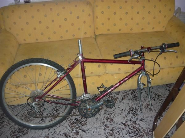 Bicicleta de montaña de adulto