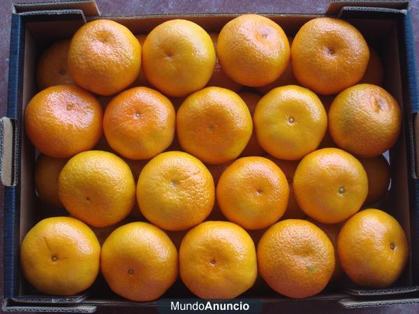 VENTA DE LIMONES,MANDARINAS Y NARANJAS