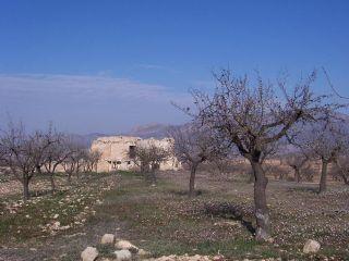 Finca/Casa Rural en venta en Ricote, Murcia (Costa Cálida)