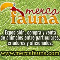 Nace Mercafauna, la primera exposición permanente de animales