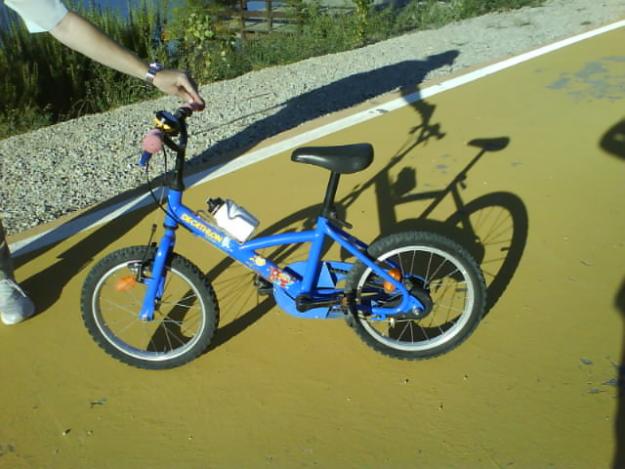 Bicicleta Infantil