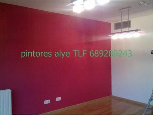 pintores economicos alye 689 289 243