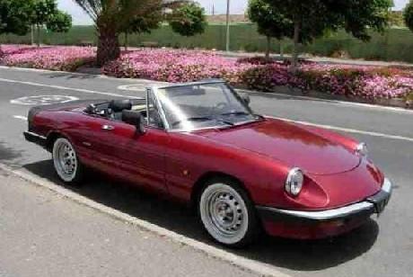 Alfa romeo spider