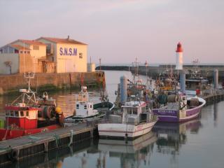 Casa : 4/6 personas - la cotiniere  isla de oleron  charente-maritime  poitou-charentes  francia