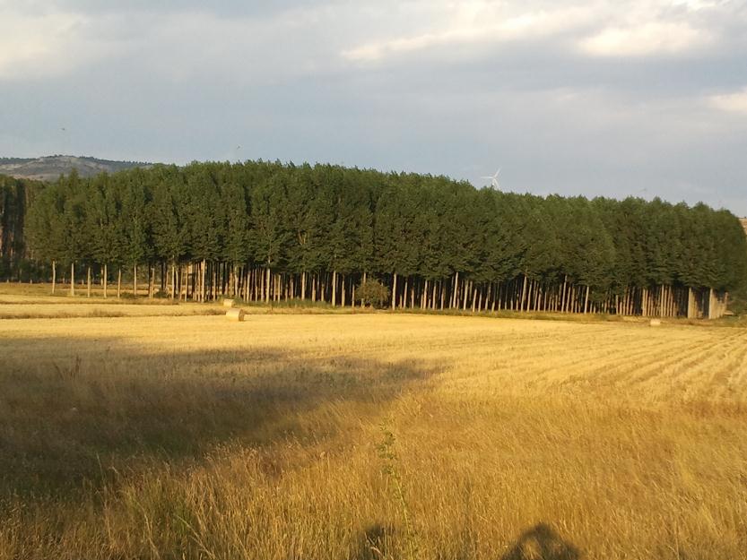 Venta chopera alcala de la vega (cuenca)