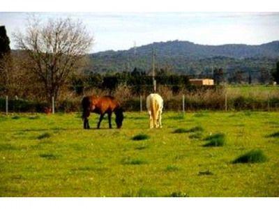 Finca/Casa Rural en venta en Pals, Girona (Costa Brava)